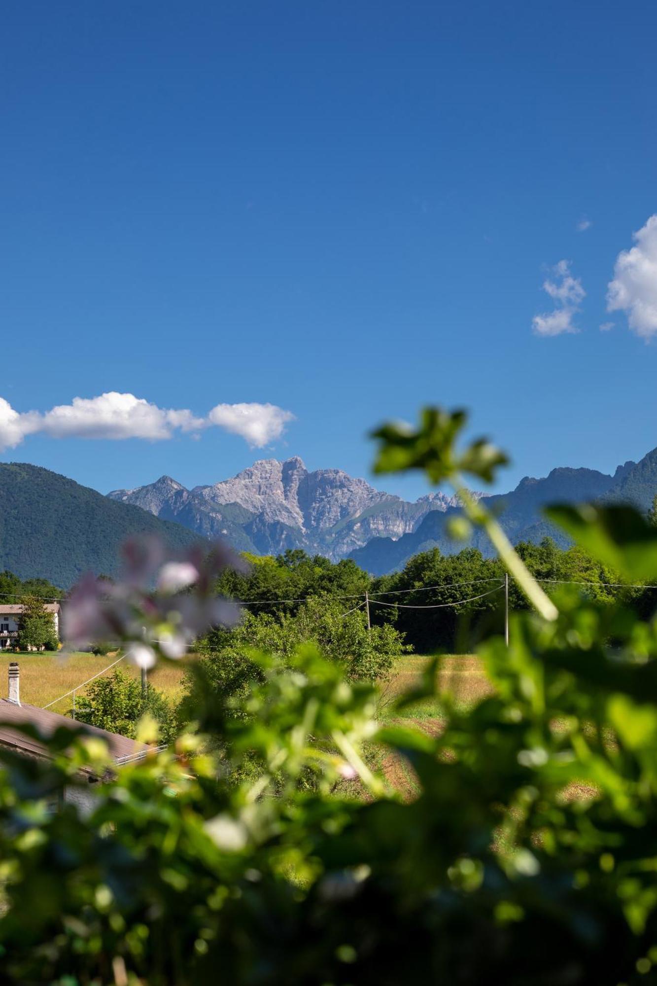 Hotel Ristorante Sagittario Feltre Buitenkant foto